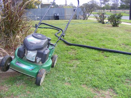 Lawn pictures 001.jpg