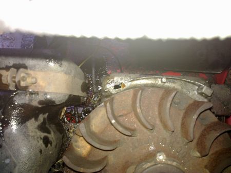 29102010761.jpg